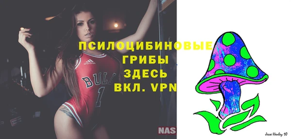 spice Кукмор