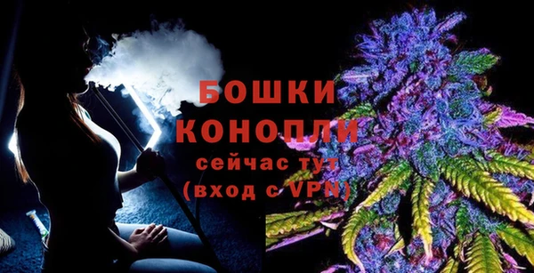 шишки Куйбышев