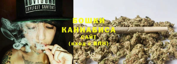 бошки Ладушкин