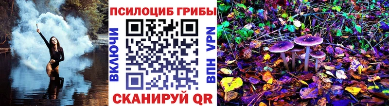 Псилоцибиновые грибы Psilocybe  купить закладку  блэк спрут как зайти  Полевской 