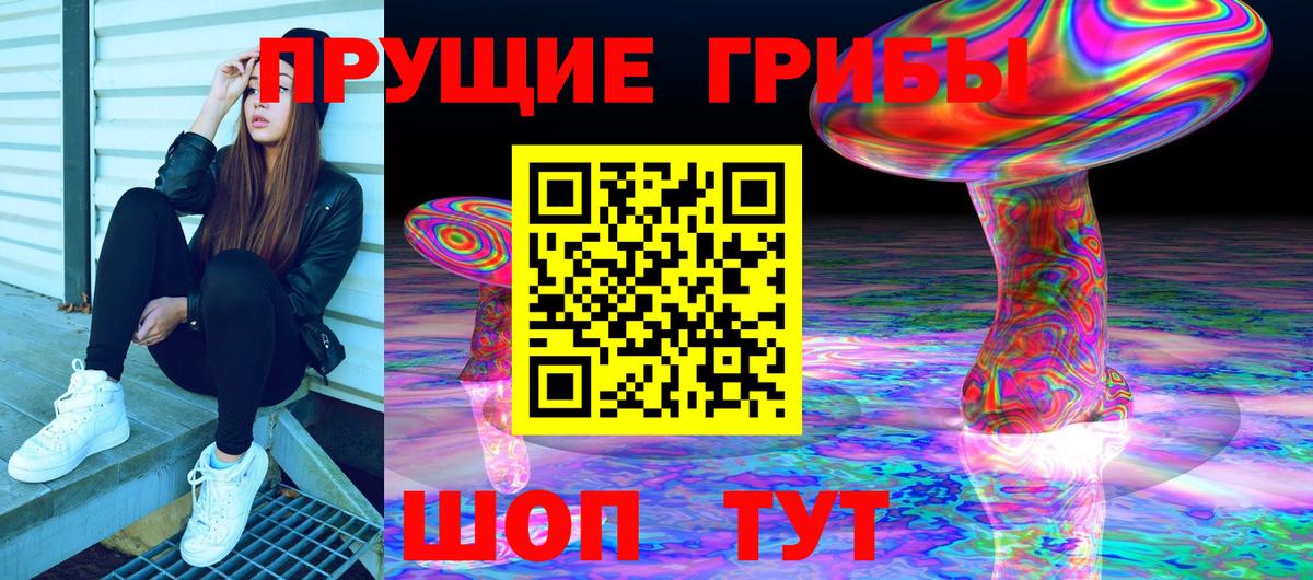 купить наркотики сайты  Полевской  Галлюциногенные грибы мухоморы  Галлюциногенные грибы GOLDEN TEACHER 